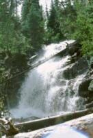 Fern Falls
