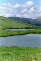 Independence Pass