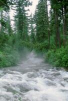 Above Narada Falls